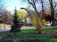 Весна  в Мариинском парке