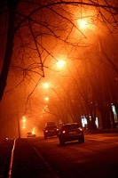 Туманный вечер