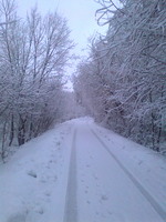 Зимовий ранок на Болотянці.