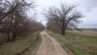 Стара Маячанська дорога біля села Обревка