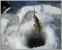 Зимняя рыбалка на Азовском море в г. Приморске