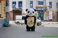 Панда на вулиці Франківська