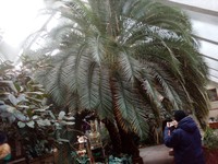 Ботанічний сад у Трускавці