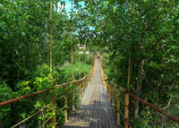 Мост на поселок Молоково