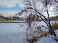 Прогулка у зимней реки